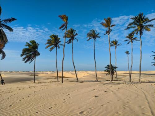 Dunas do Coqueiros - Praia do Arpoador